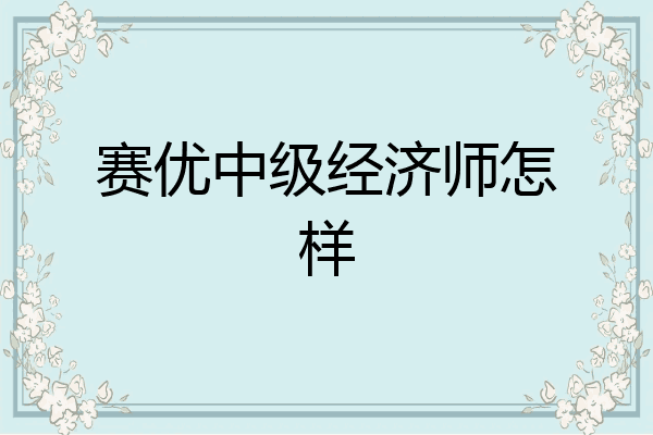 赛优中级经济师怎样