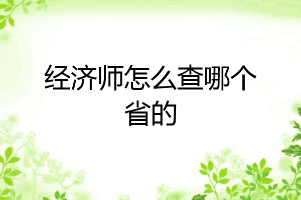 经济师怎么查哪个省的