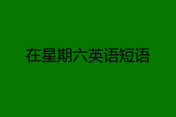 在星期六英语短语
