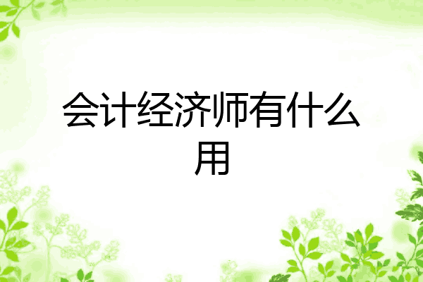 会计经济师有什么用