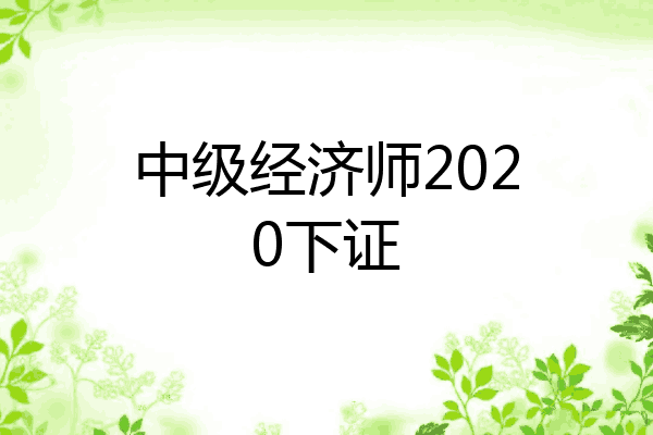 中级经济师2020下证