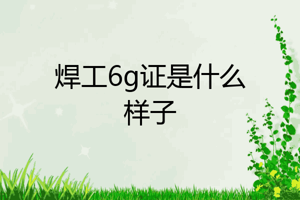 焊工6g证是什么样子