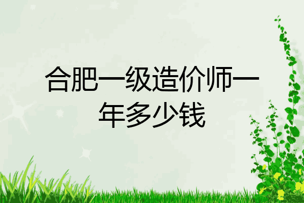 合肥一级造价师一年多少钱