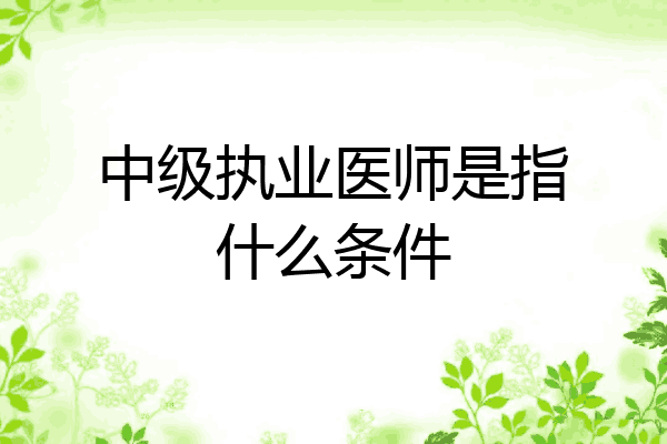 中级执业医师是指什么条件