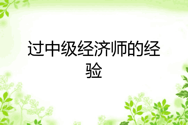 过中级经济师的经验