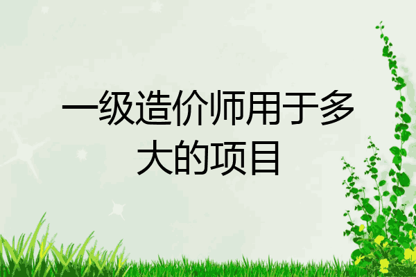 一级造价师用于多大的项目