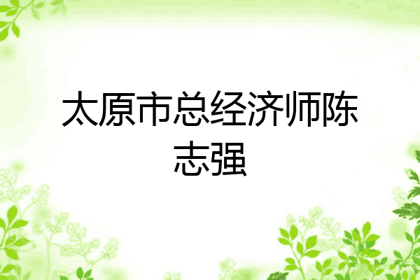 太原市总经济师陈志强