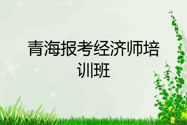 青海报考经济师培训班