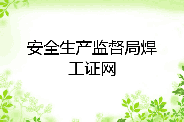 安全生产监督局焊工证网