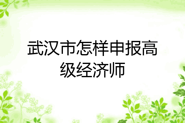 武汉市怎样申报高级经济师