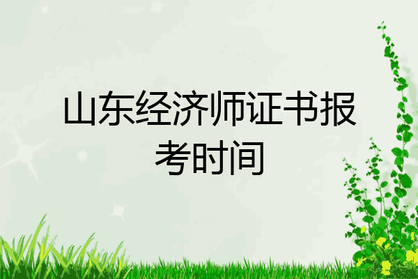 山东经济师证书报考时间