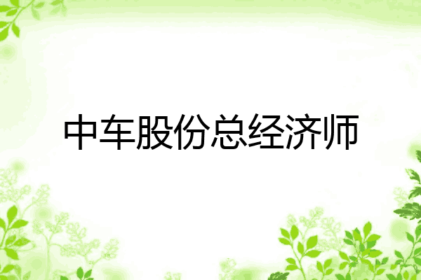 中车股份总经济师