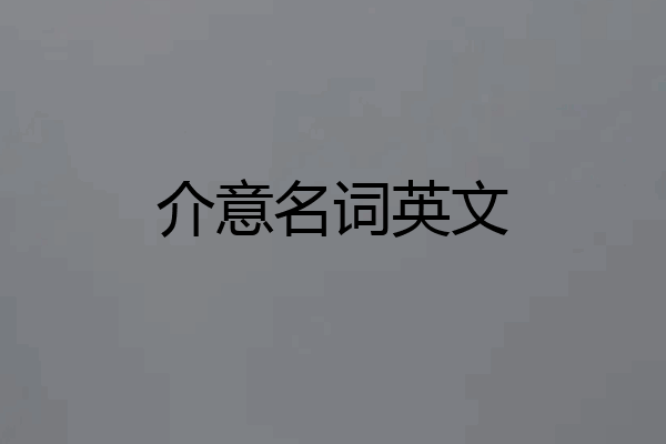 介意名词英文