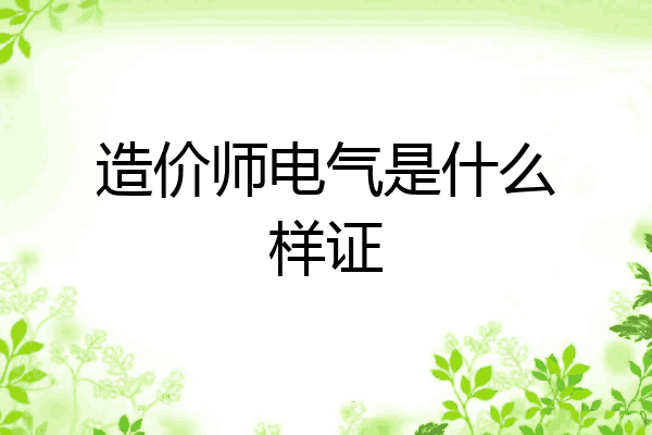 造价师电气是什么样证