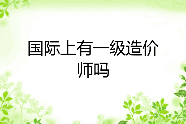 国际上有一级造价师吗