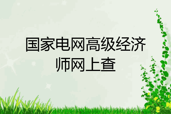 国家电网高级经济师网上查
