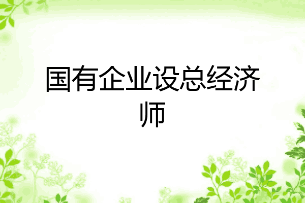 国有企业设总经济师