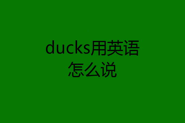 ducks用英语怎么说