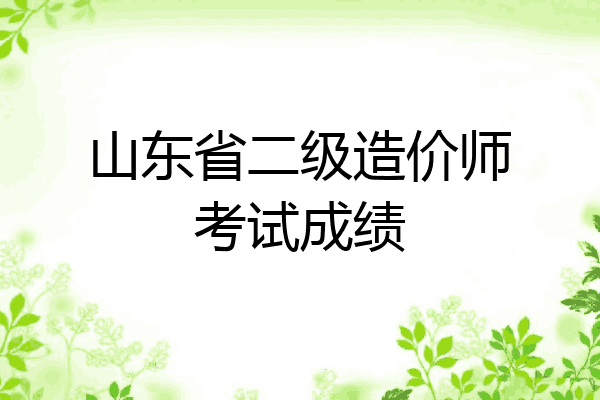 山东省二级造价师考试成绩