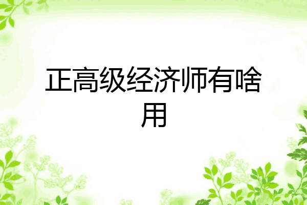 正高级经济师有啥用