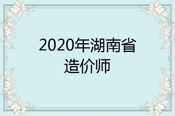 2020年湖南省造价师