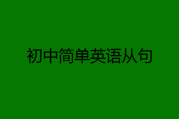 初中简单英语从句