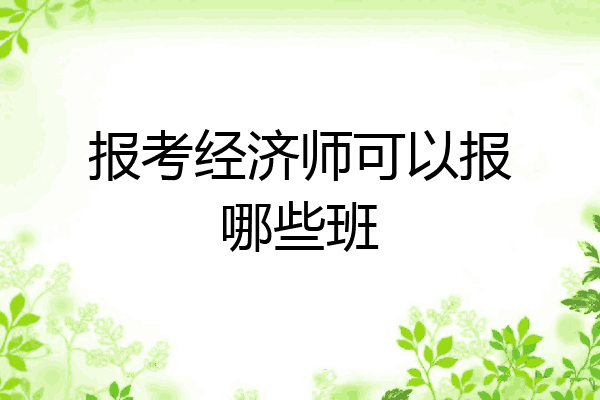 报考经济师可以报哪些班