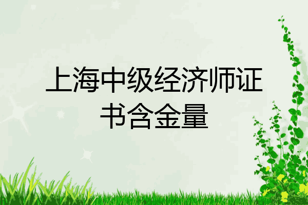 上海中级经济师证书含金量