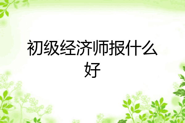 初级经济师报什么好