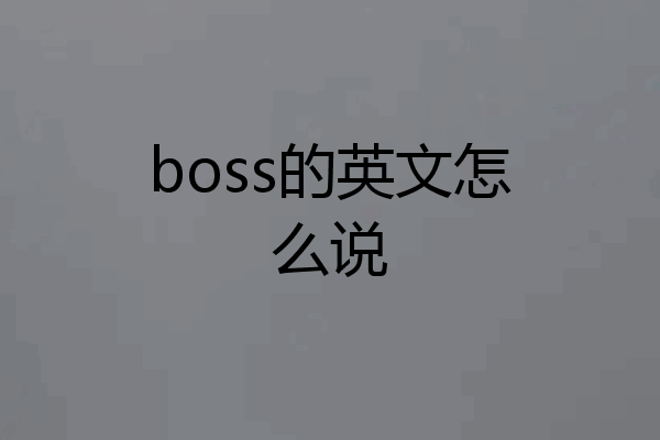 boss的英文怎么说