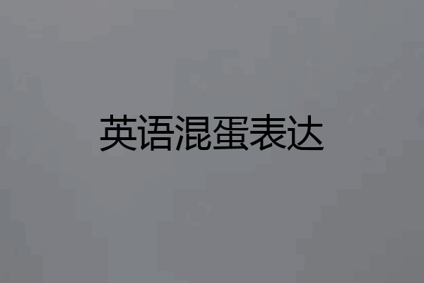 英语混蛋表达