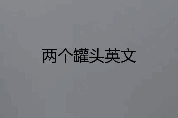 两个罐头英文