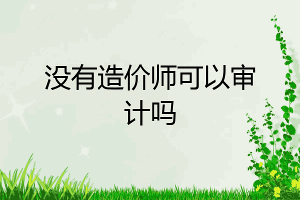 没有造价师可以审计吗