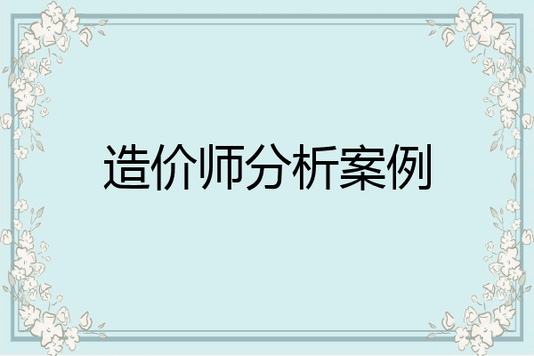 造价师分析案例