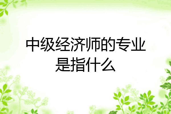 中级经济师的专业是指什么