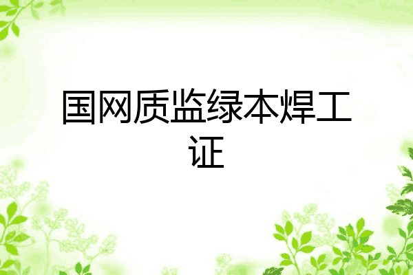 国网质监绿本焊工证