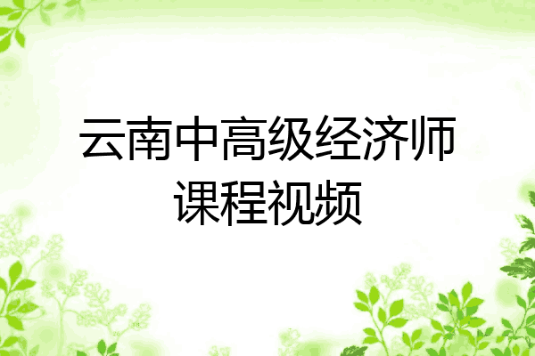 云南中高级经济师课程视频