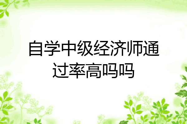 自学中级经济师通过率高吗吗