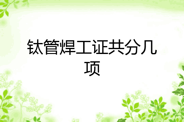 钛管焊工证共分几项