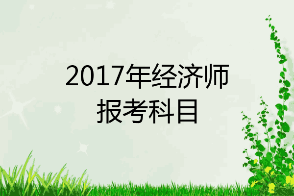 2017年经济师报考科目