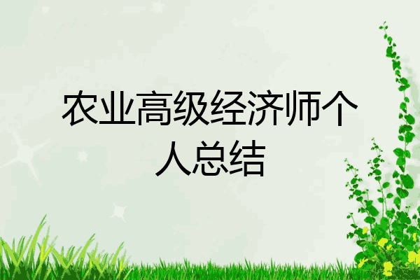 农业高级经济师个人总结