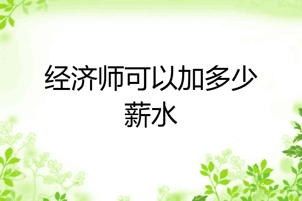 经济师可以加多少薪水