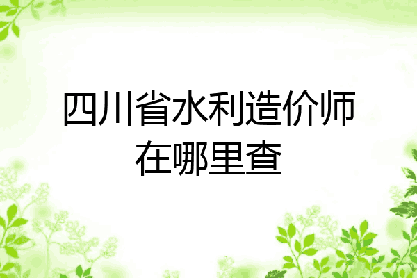 四川省水利造价师在哪里查