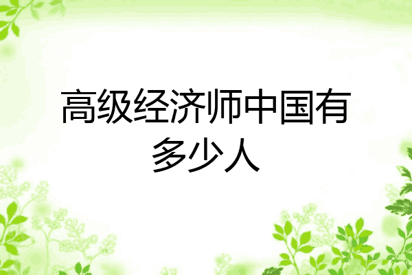高级经济师中国有多少人