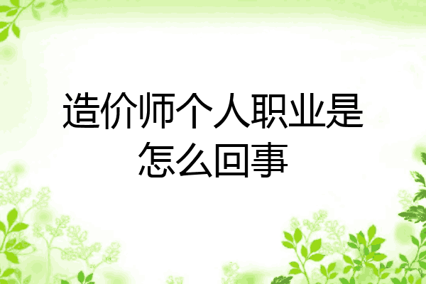造价师个人职业是怎么回事