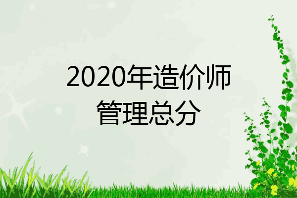 2020年造价师管理总分