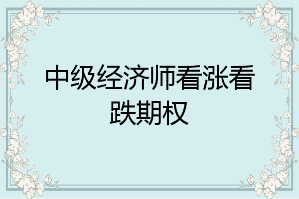 中级经济师看涨看跌期权