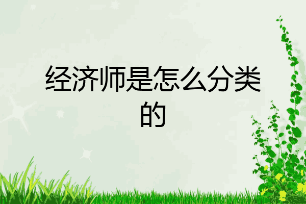 经济师是怎么分类的