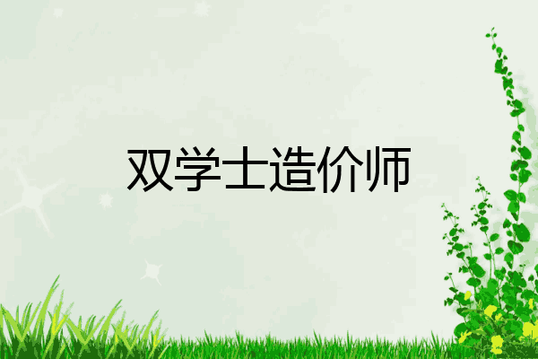 双学士造价师