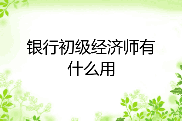 银行初级经济师有什么用